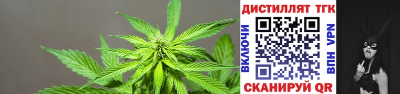 закладка  MEGA ссылка  ТГК THC oil  Переславль-Залесский 